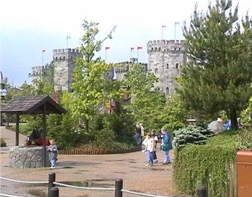 View of the castle behind trees