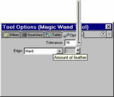Setting the Tolerance of the Magic Wand.
